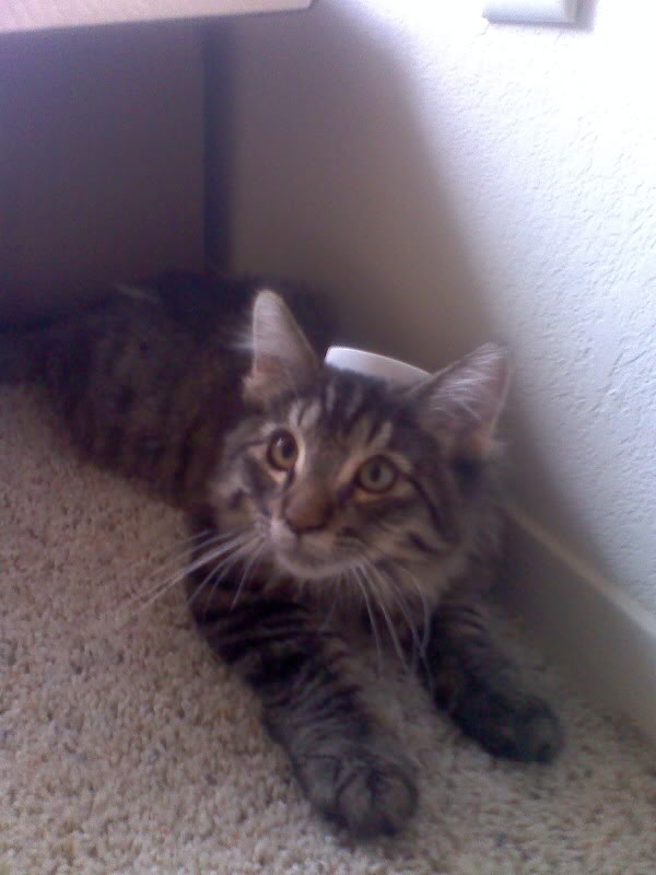 Name:  moto_0173.jpg
Views: 58
Size:  49.2 KB