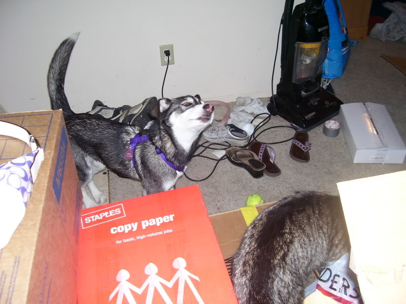 Name:  100_2610.jpg
Views: 53
Size:  99.7 KB