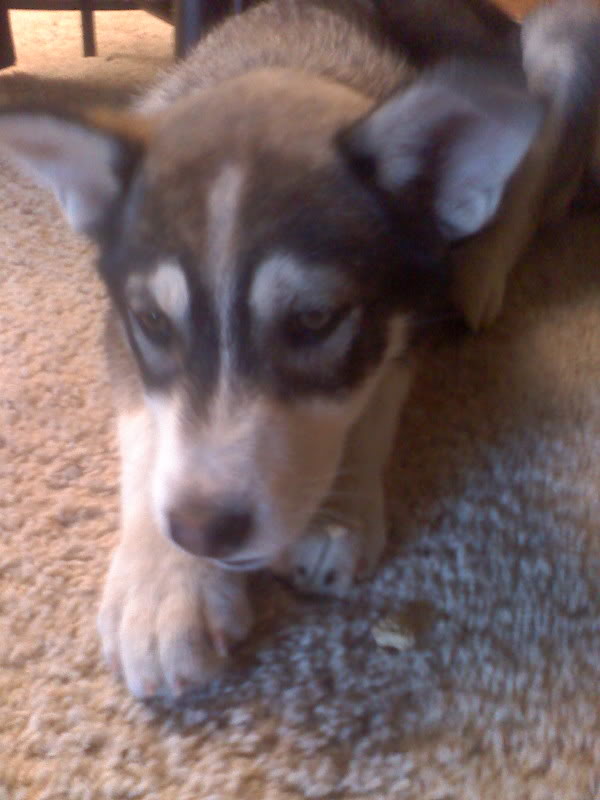 Name:  Us_0113.jpg
Views: 57
Size:  52.3 KB