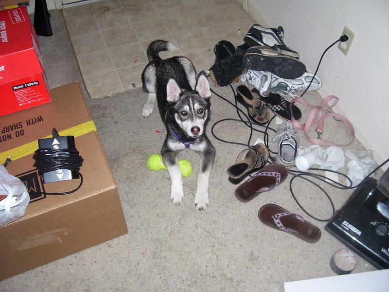 Name:  100_2616.jpg
Views: 51
Size:  114.0 KB