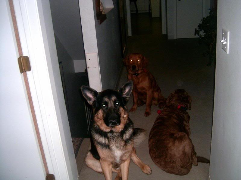 Name:  Picture008.jpg
Views: 59
Size:  43.9 KB