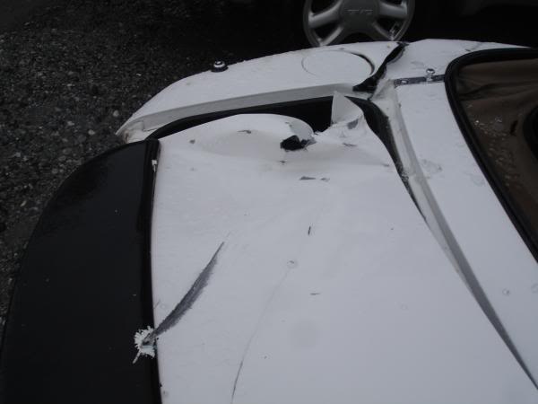 Name:  user139_pic444_1261176276.jpg
Views: 72
Size:  20.3 KB