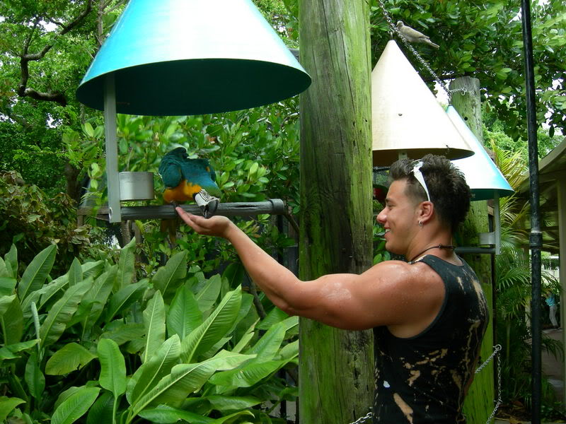 Name:  Picture043.jpg
Views: 76
Size:  122.0 KB