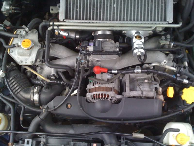 Name:  IMG_0975.jpg
Views: 216
Size:  100.0 KB