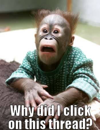 Name:  why-did-i-click.jpg
Views: 73
Size:  23.7 KB