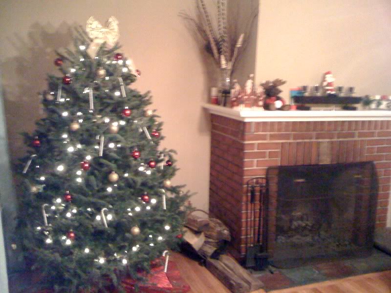 Name:  1260059770.jpg
Views: 53
Size:  80.4 KB