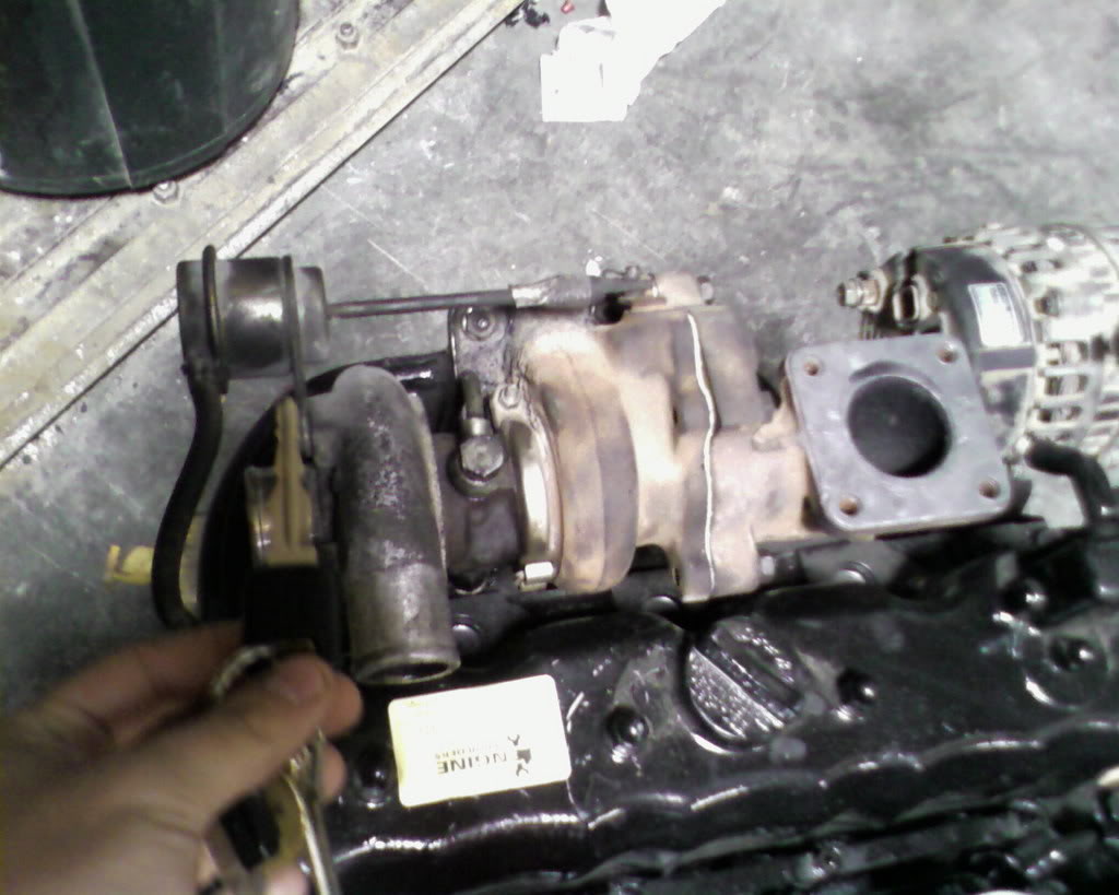 Name:  Nic_pics-0063.jpg
Views: 73
Size:  96.3 KB