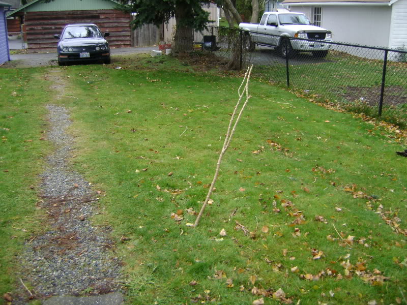 Name:  DSC01600.jpg
Views: 46
Size:  174.6 KB