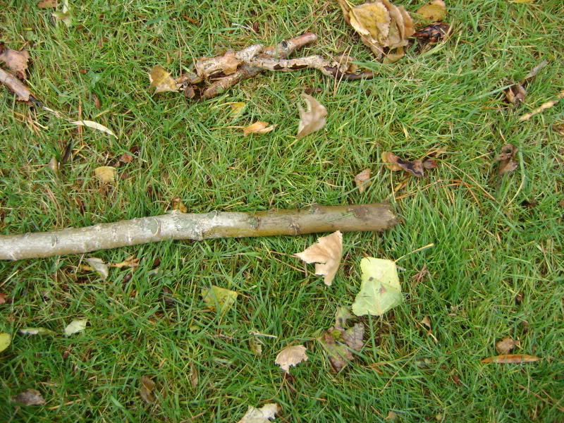 Name:  DSC01603.jpg
Views: 36
Size:  245.4 KB