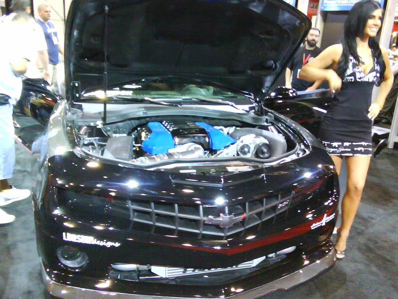 Name:  DSC00256.jpg
Views: 78
Size:  142.0 KB