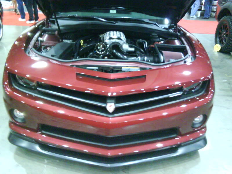 Name:  DSC00199.jpg
Views: 85
Size:  106.2 KB