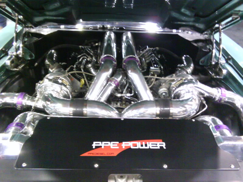 Name:  DSC00250.jpg
Views: 89
Size:  108.5 KB