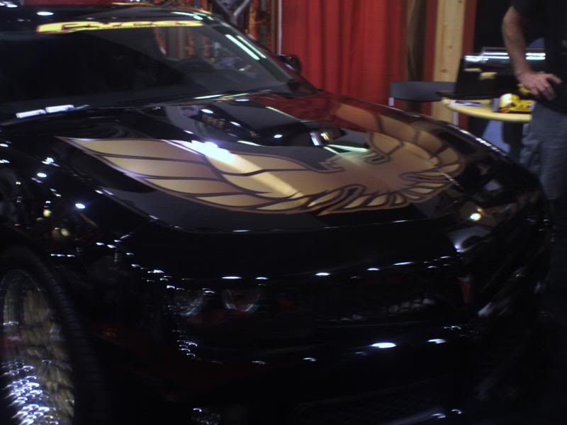 Name:  PICT0044.jpg
Views: 76
Size:  42.6 KB