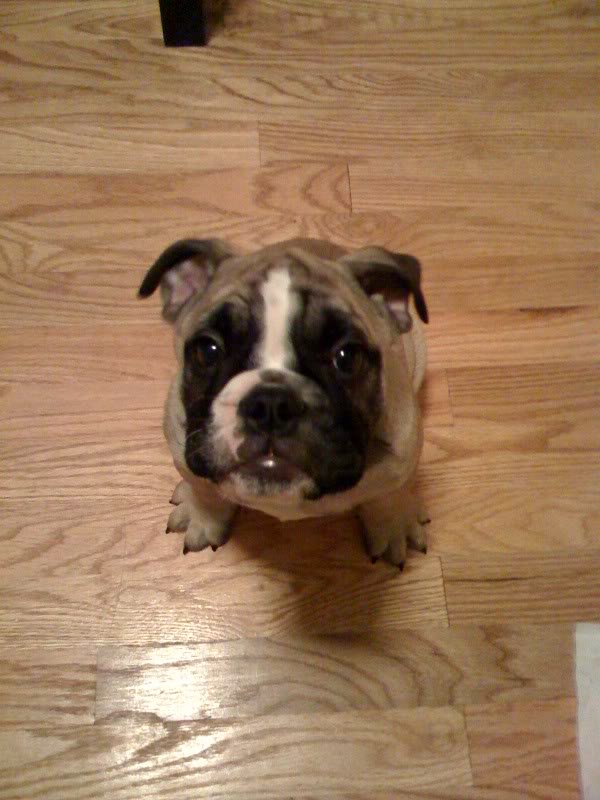 Name:  1257007592.jpg
Views: 48
Size:  67.7 KB