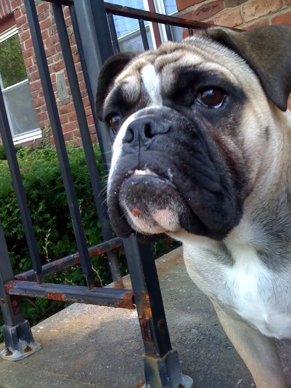 Name:  1257007642.jpg
Views: 48
Size:  119.8 KB