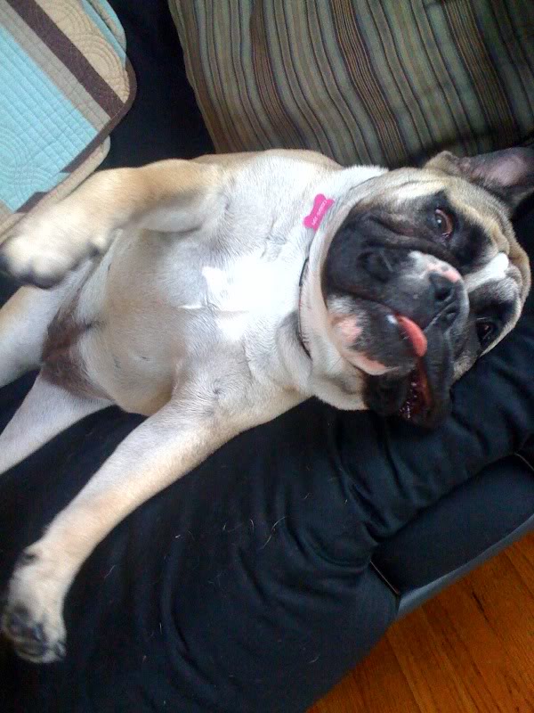 Name:  1257007724.jpg
Views: 44
Size:  90.2 KB