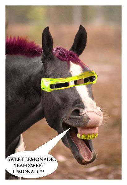 Name:  tncopia.jpg
Views: 54
Size:  30.8 KB