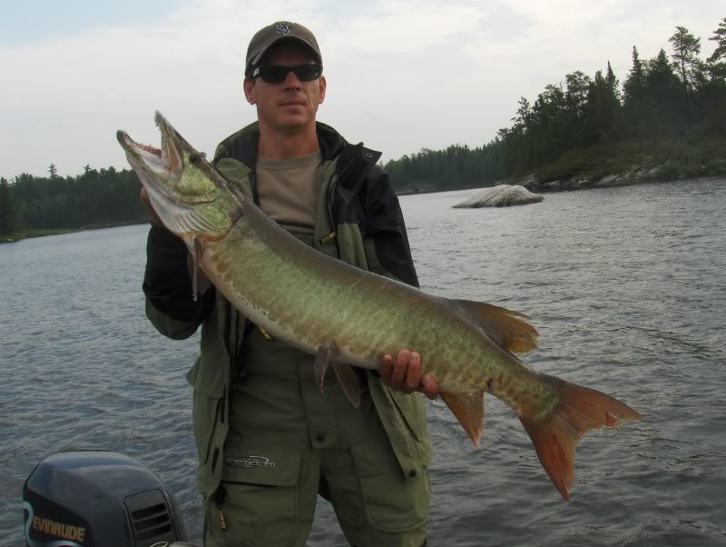 Name:  HPIM0571.jpg
Views: 36
Size:  86.7 KB