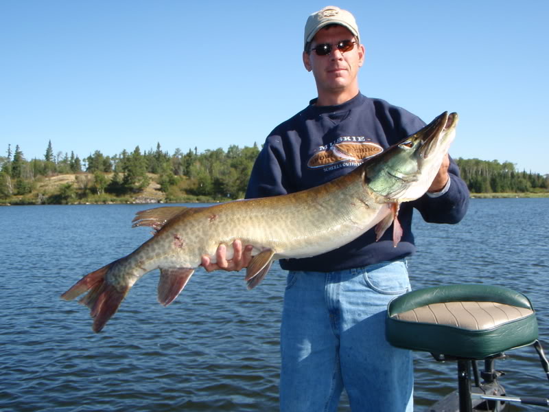 Name:  elk005.jpg
Views: 80
Size:  84.9 KB