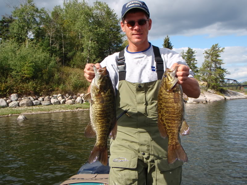 Name:  elk021.jpg
Views: 77
Size:  137.8 KB