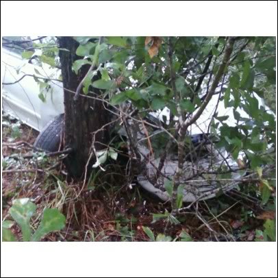 Name:  wreck5.jpg
Views: 161
Size:  44.1 KB