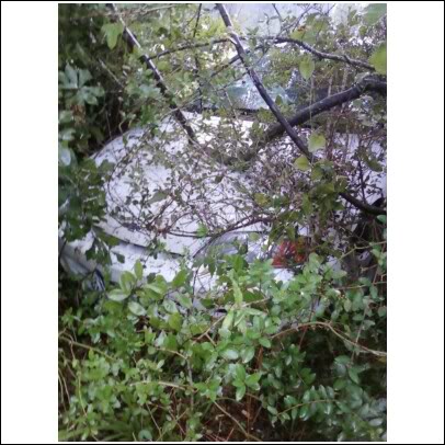 Name:  wreck6.jpg
Views: 151
Size:  49.0 KB