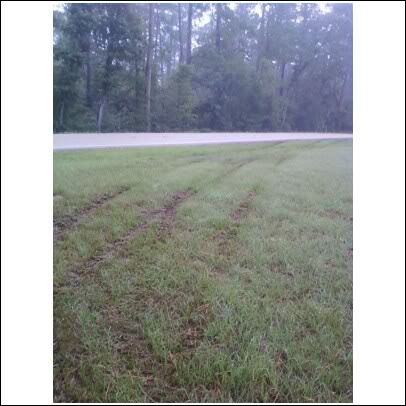 Name:  wreck10.jpg
Views: 165
Size:  34.2 KB