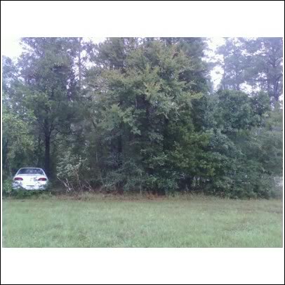 Name:  wreck9.jpg
Views: 145
Size:  36.6 KB