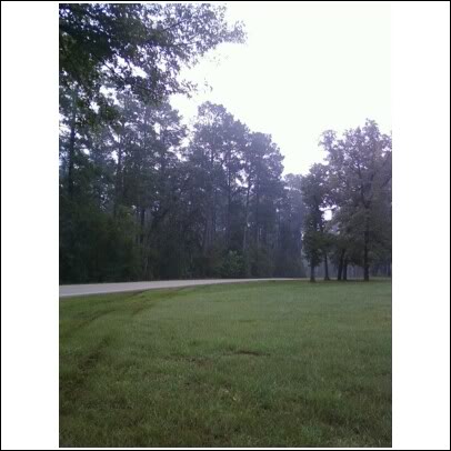 Name:  wreck8.jpg
Views: 150
Size:  31.1 KB