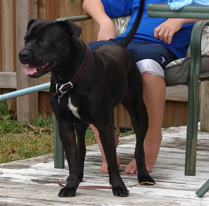 Name:  S1.jpg
Views: 46
Size:  100.4 KB