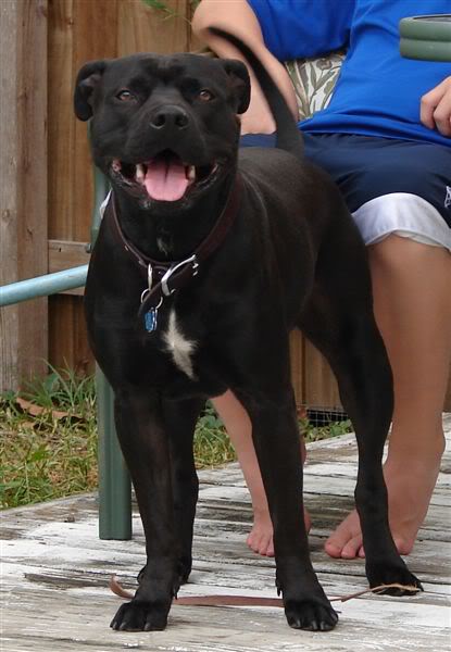 Name:  Shadow.jpg
Views: 50
Size:  40.7 KB