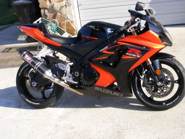 Name:  newyoshpic2.jpg
Views: 281
Size:  76.5 KB