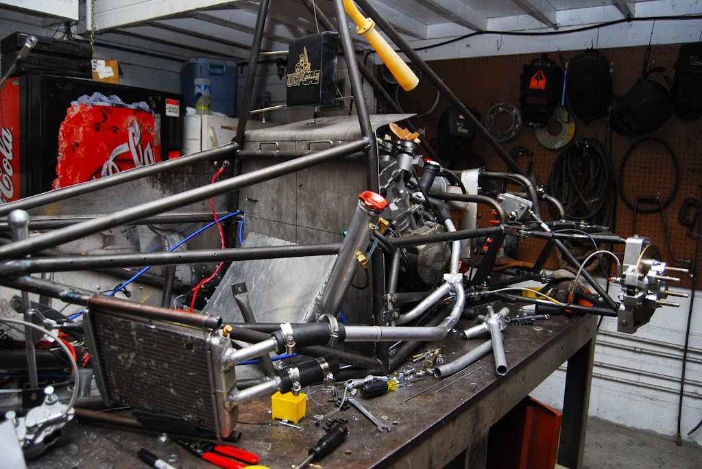 Name:  DSC_3484.jpg
Views: 432
Size:  164.6 KB