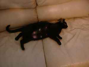 Name:  01151101020301160120080613137672083.jpg
Views: 65
Size:  3.1 KB