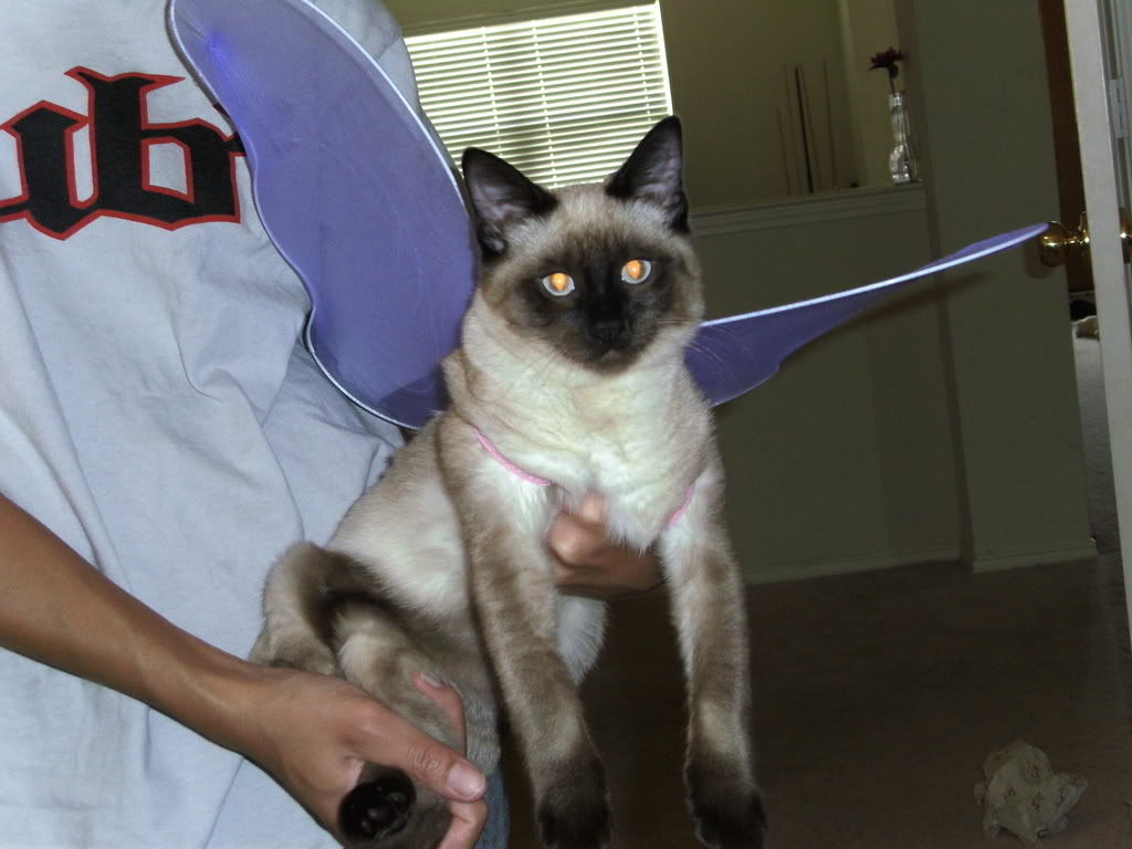 Name:  Picture011.jpg
Views: 68
Size:  117.7 KB