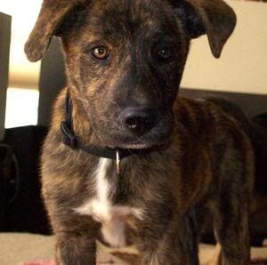 Name:  GetAtt3achment1.jpg
Views: 68
Size:  15.1 KB