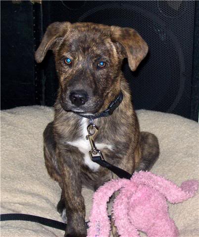 Name:  Get55Attachment1.jpg
Views: 53
Size:  37.2 KB