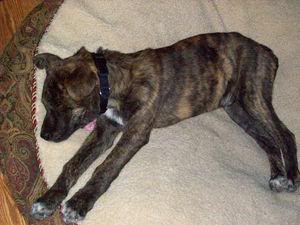 Name:  GetAttachment11.jpg
Views: 49
Size:  14.9 KB