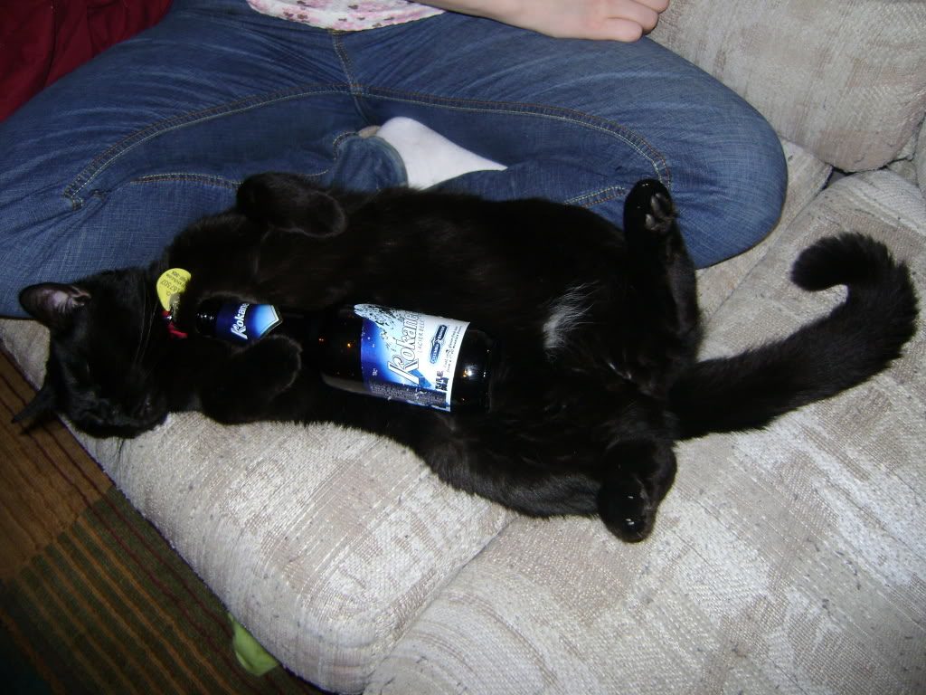 Name:  DSC00925.jpg
Views: 55
Size:  157.3 KB