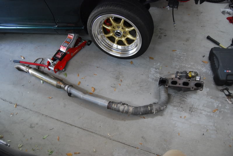 Name:  DSC_3305.jpg
Views: 57
Size:  88.0 KB