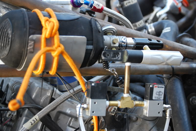 Name:  DSC_2916.jpg
Views: 443
Size:  103.3 KB