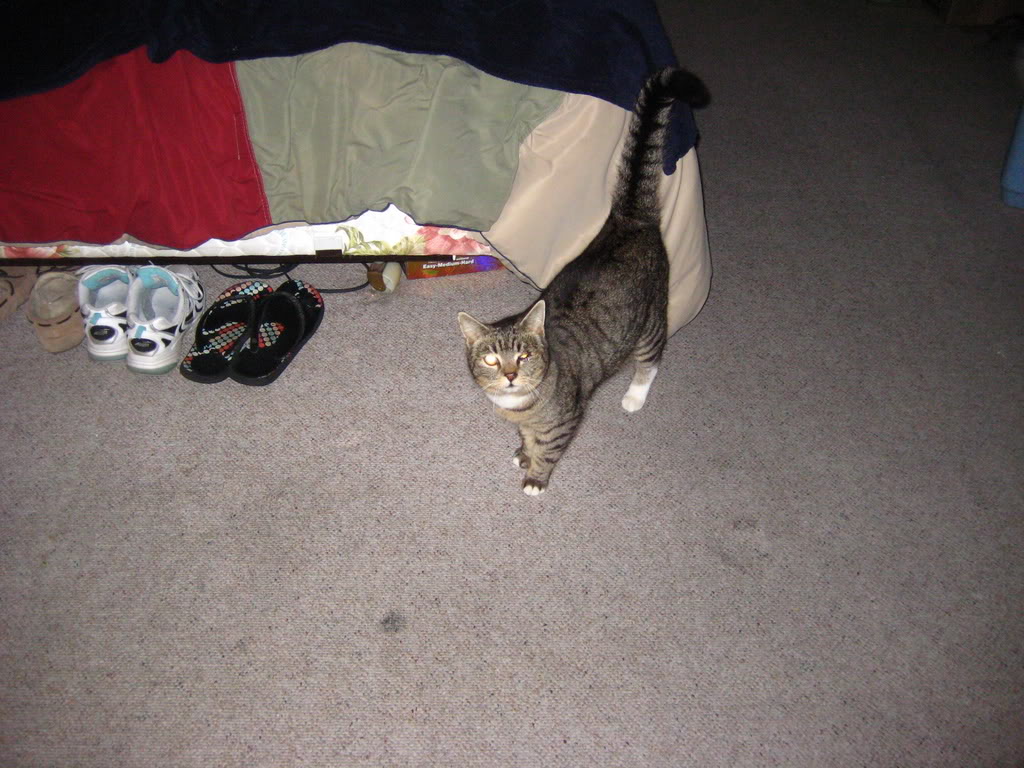 Name:  beer002.jpg
Views: 50
Size:  160.8 KB