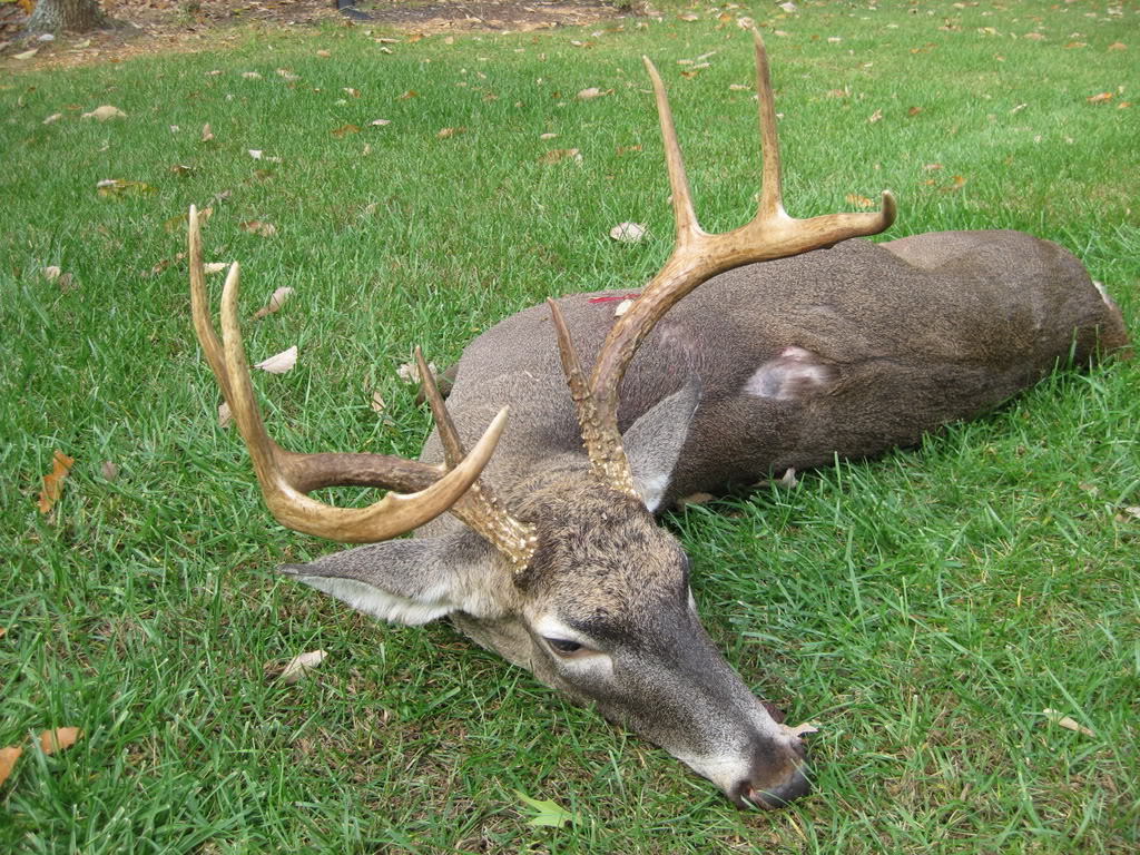 Name:  IMG_0585.jpg
Views: 79
Size:  309.5 KB