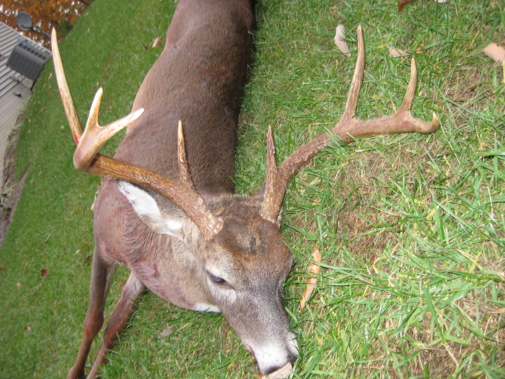 Name:  IMG_0589.jpg
Views: 60
Size:  241.8 KB