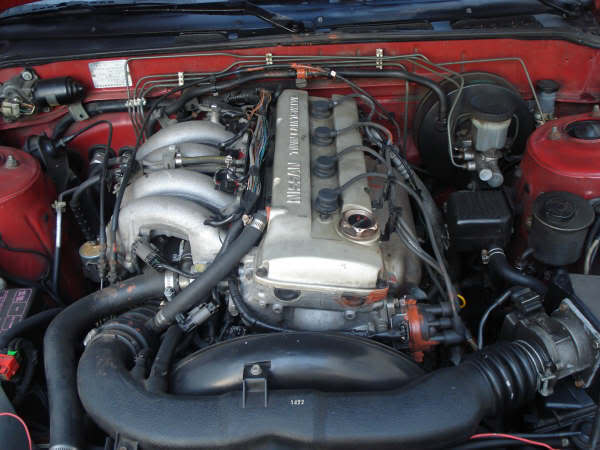 Name:  DSC05523.jpg
Views: 48
Size:  40.8 KB