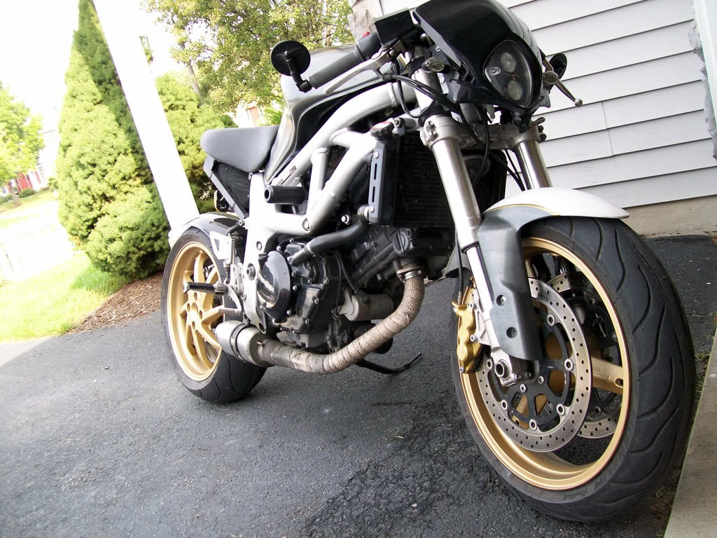 Name:  gold22.jpg
Views: 257
Size:  163.0 KB