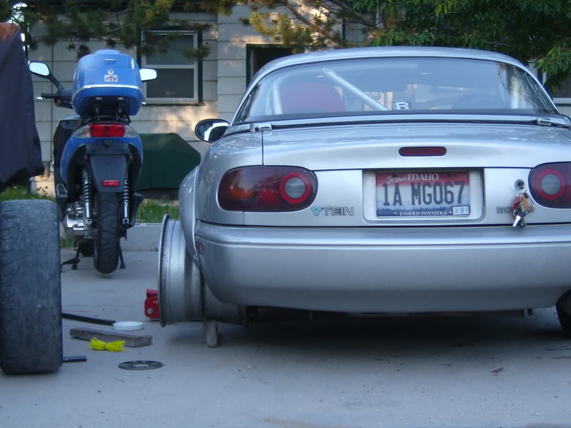 Name:  S4200153.jpg
Views: 224
Size:  69.7 KB