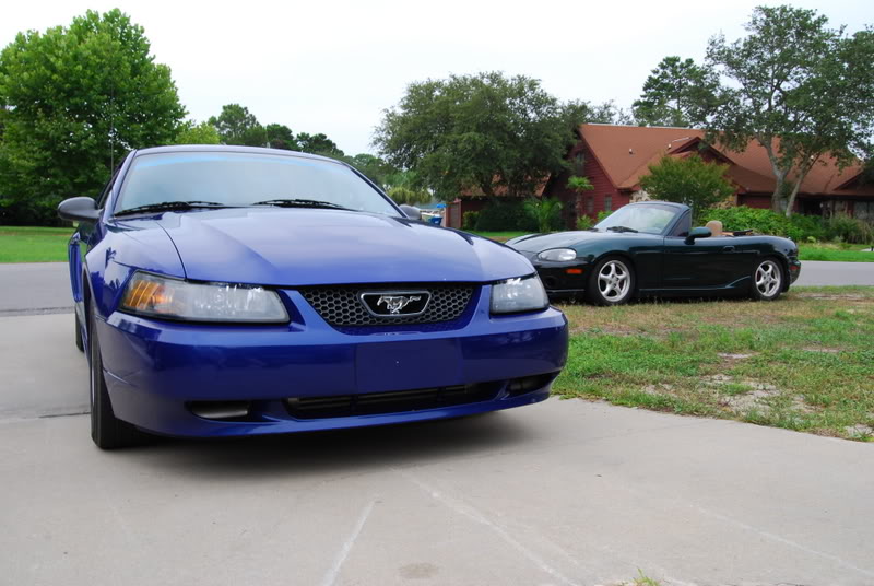 Name:  DSC_0041-1.jpg
Views: 95
Size:  107.5 KB