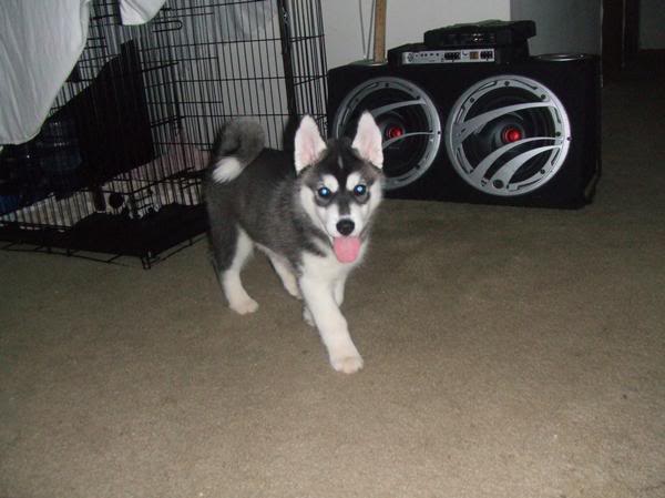 Name:  1.jpg
Views: 52
Size:  35.2 KB