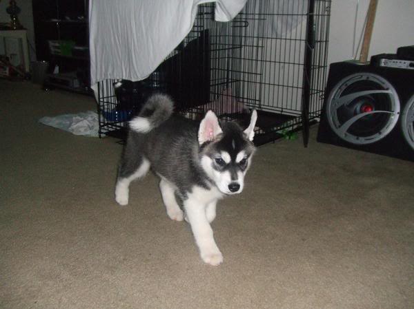 Name:  2.jpg
Views: 53
Size:  33.8 KB